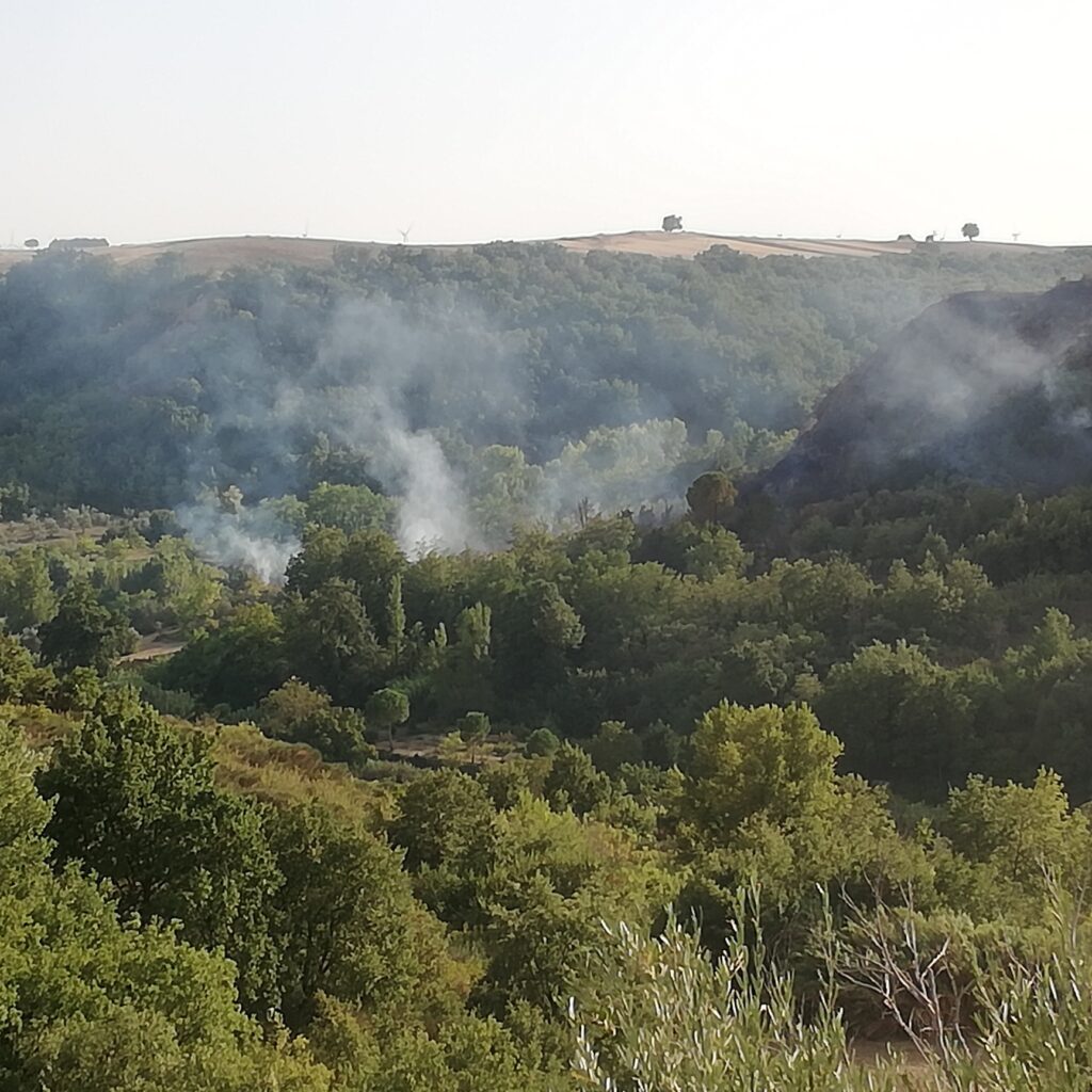incendio spinazzola