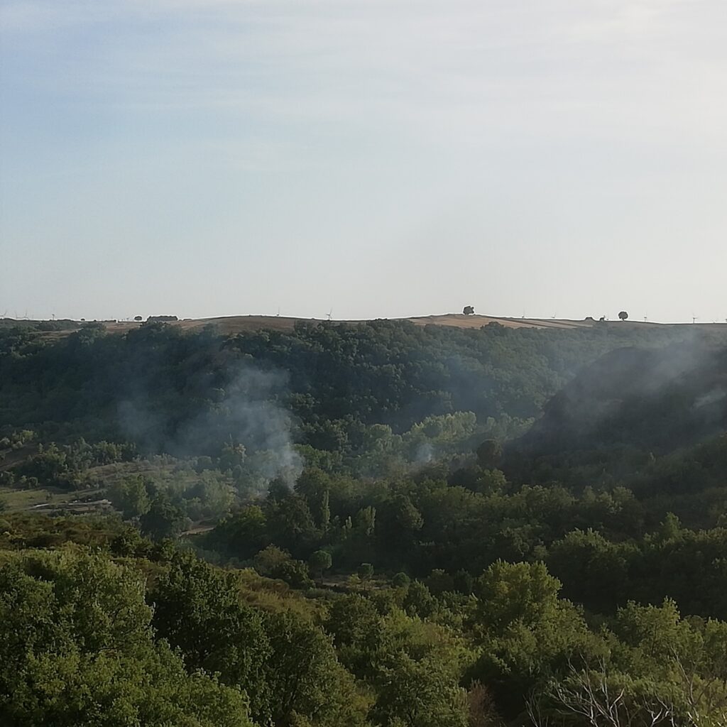 incendio spinazzola