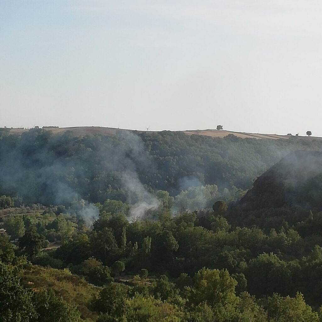 incendio spinazzola