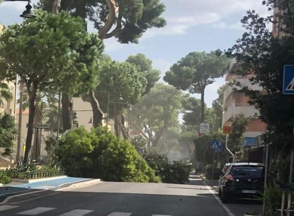 maltempo abruzzo alberi caduti