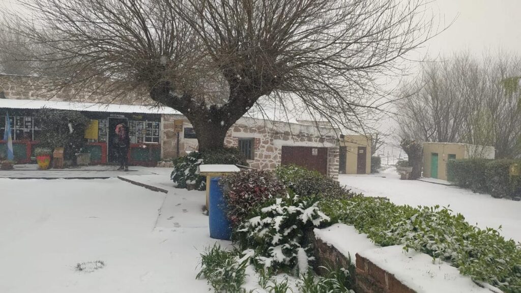 neve argentina