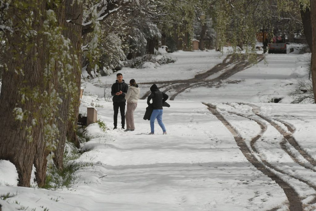 neve argentina