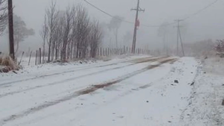 neve argentina