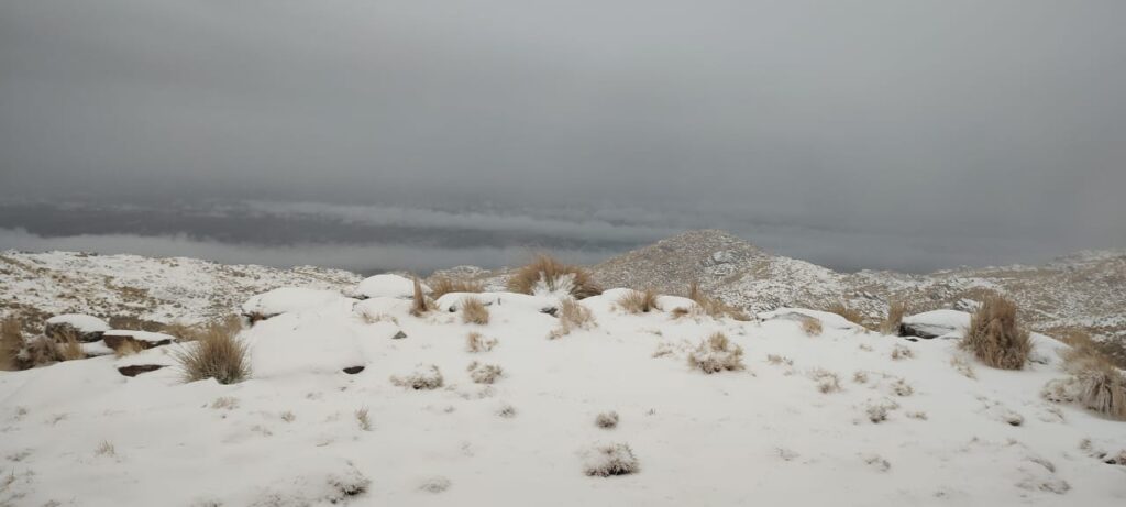neve argentina