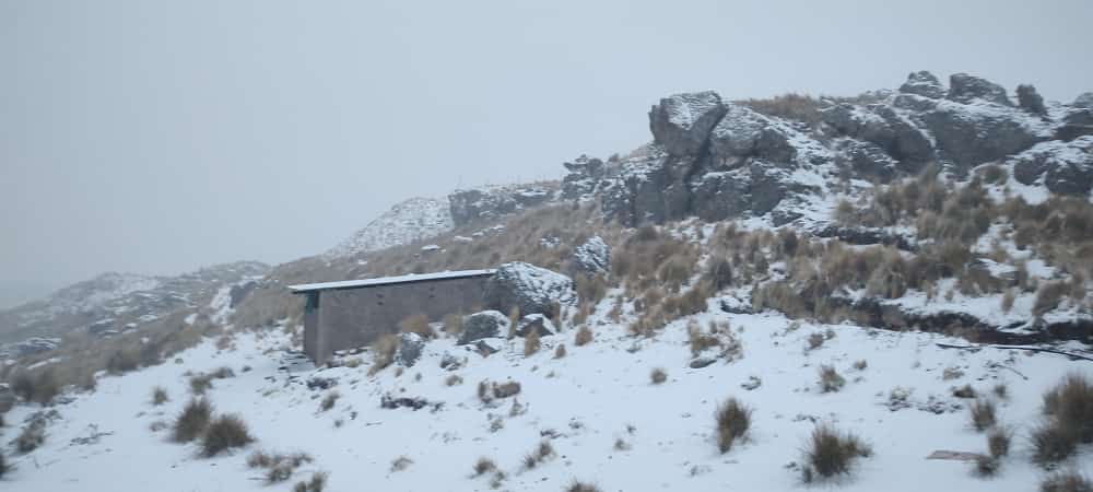 neve argentina