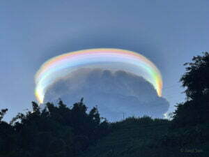 nube pileus pu'er cina
