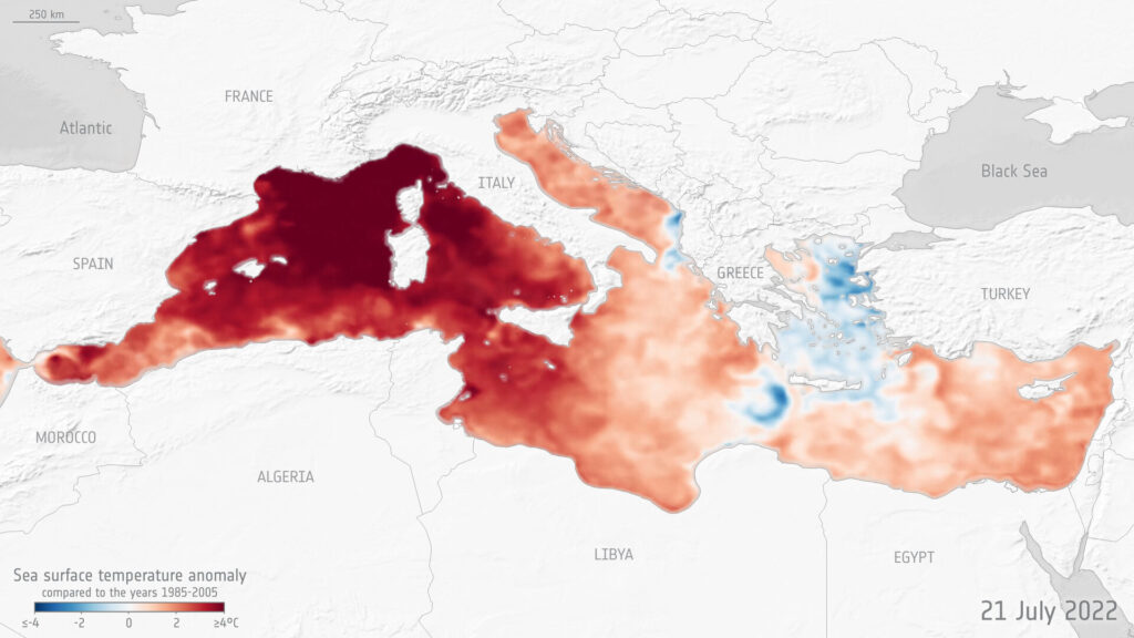 ondate calore mar mediterraneo