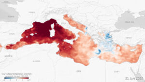 ondate calore mar mediterraneo
