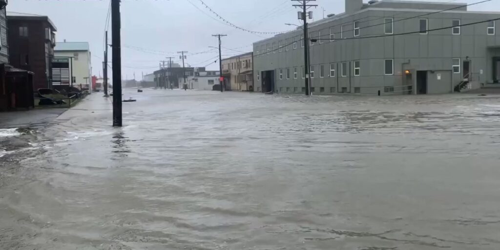 tempesta alaska