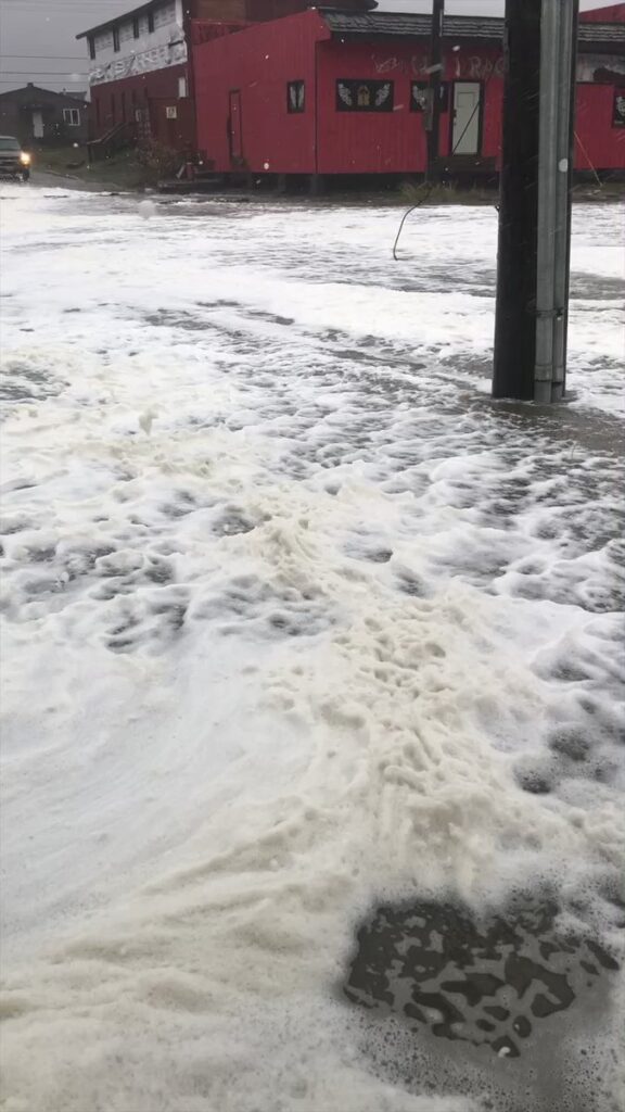 tempesta alaska