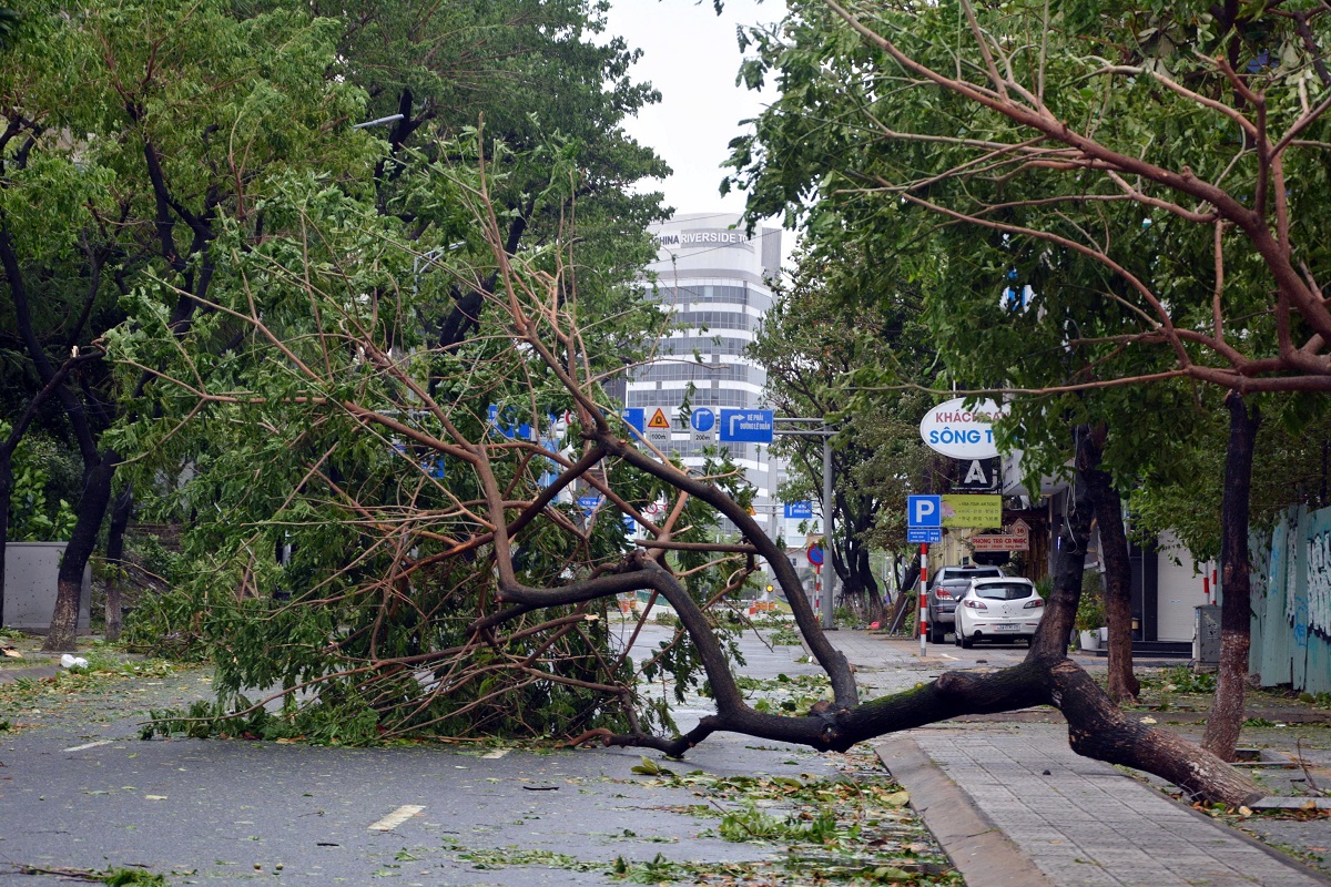 tifone noru vietnam
