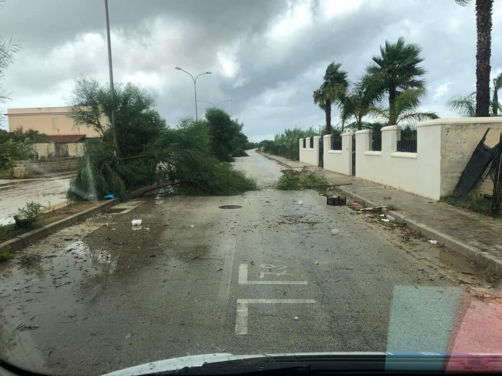 tornado triscina