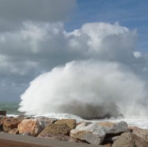 vento marina di pisa
