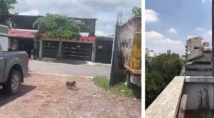 video terremoto messico