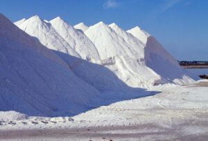 Ibiza Saline
