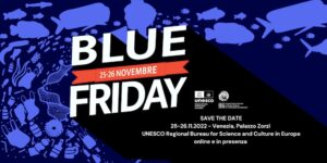 blue friday
