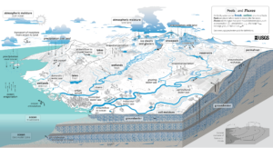 diagramma ciclo acqua uomo