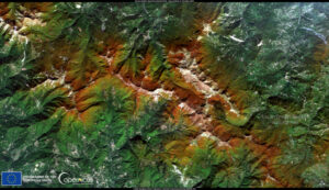 foliage appennino