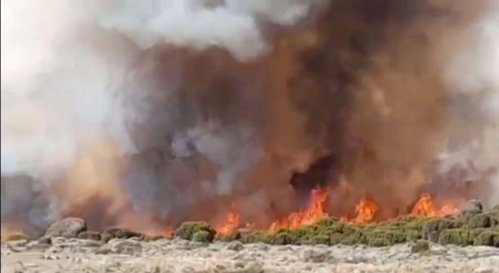 incendio kilimangiaro