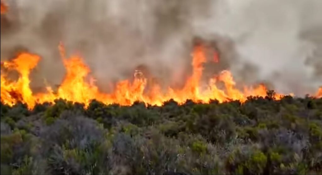 incendio kilimangiaro