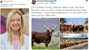 mucche uganda giorgia meloni
