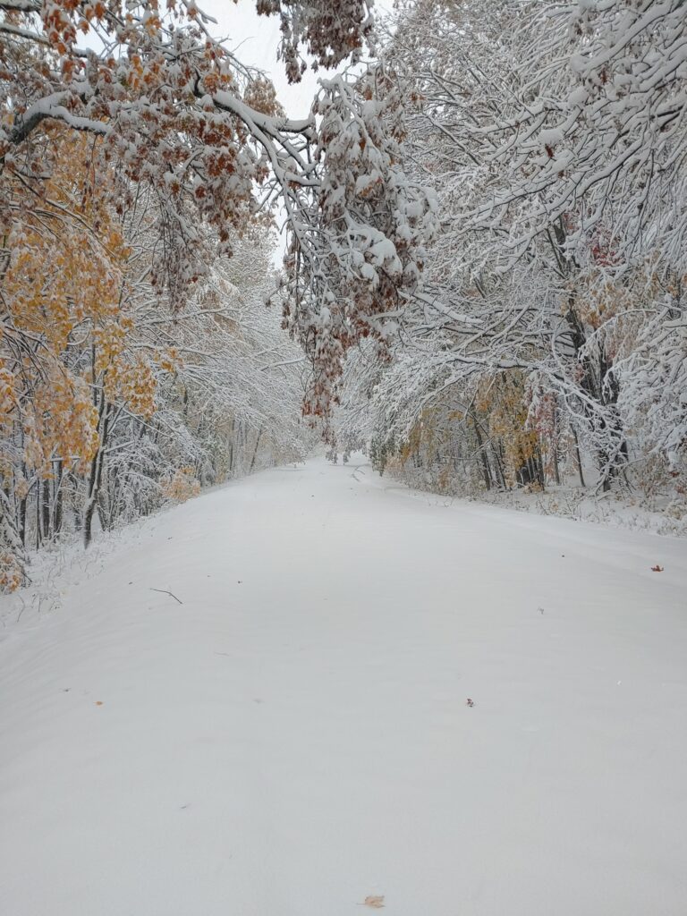 neve michigan midwest usa