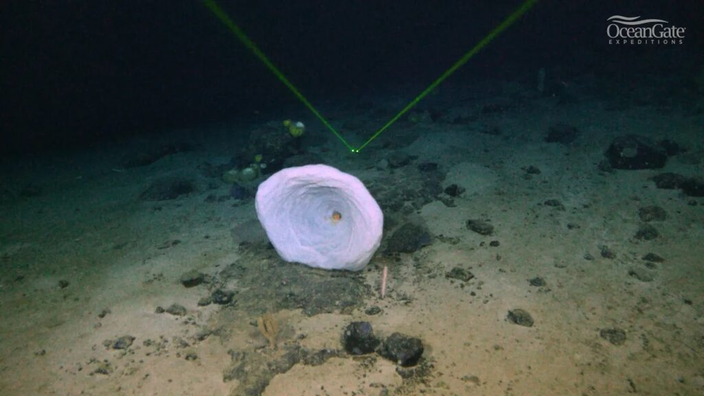 oggetto misterioso titanic
