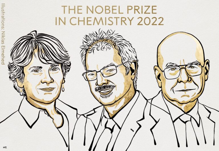 premio nobel chimica 2022