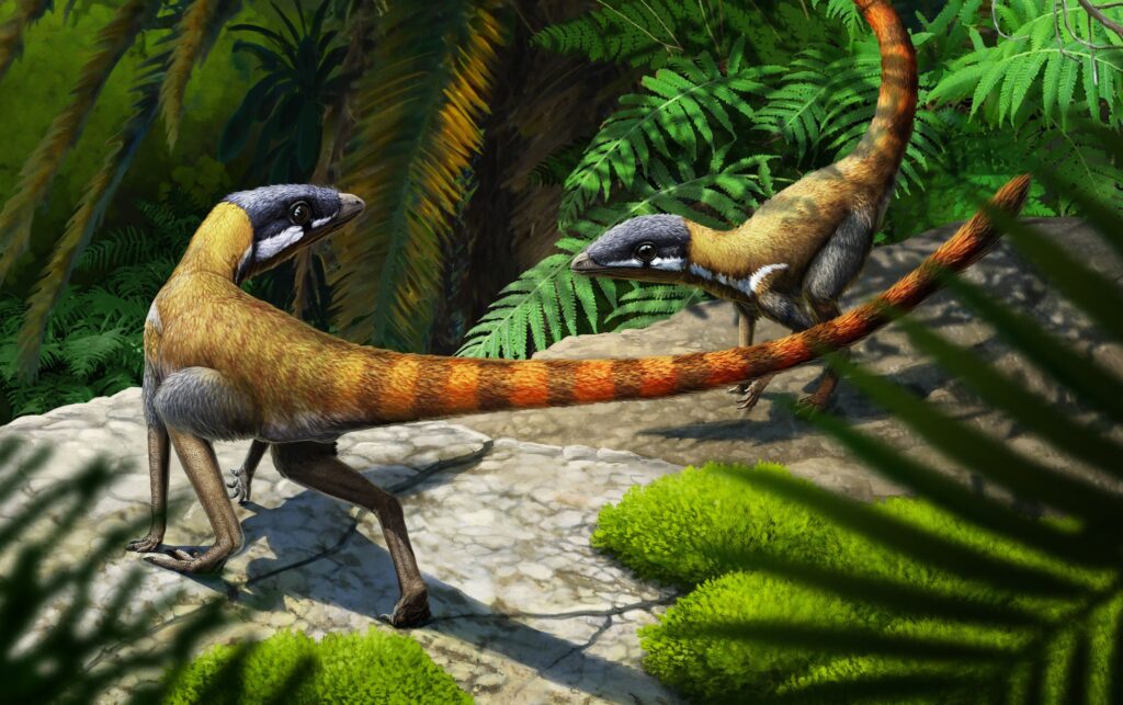 evoluzione dei rettili