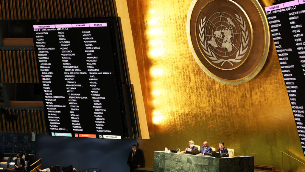 risoluzione onu russia