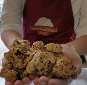 tartufo bianco savigno