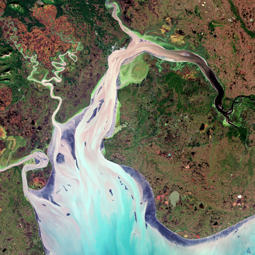 Baia di Nushagak Alaska