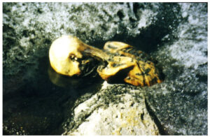 Ötzi