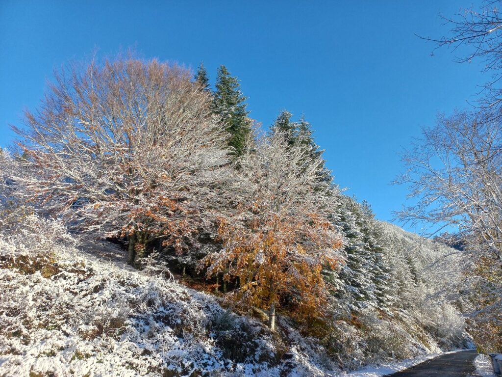 Pratomagno