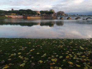 Rimini