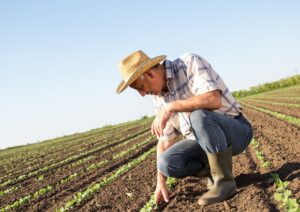 agricoltore