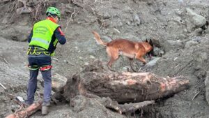 alluvione ischia