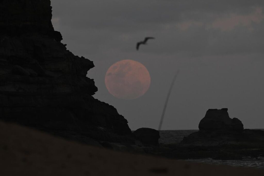 eclissi luna oggi australia