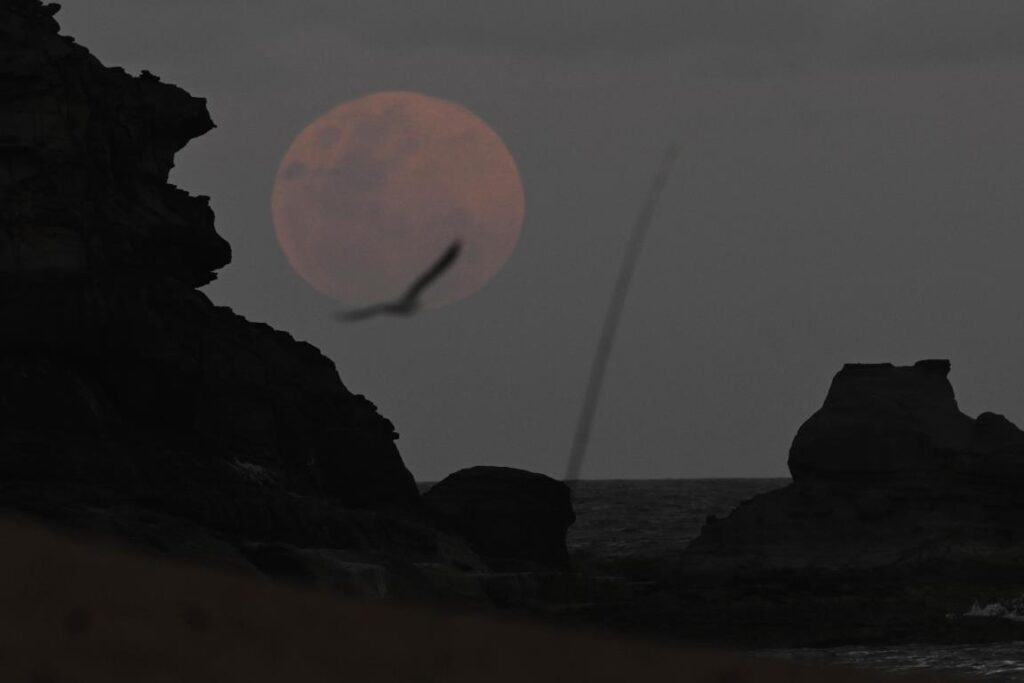 eclissi luna oggi australia