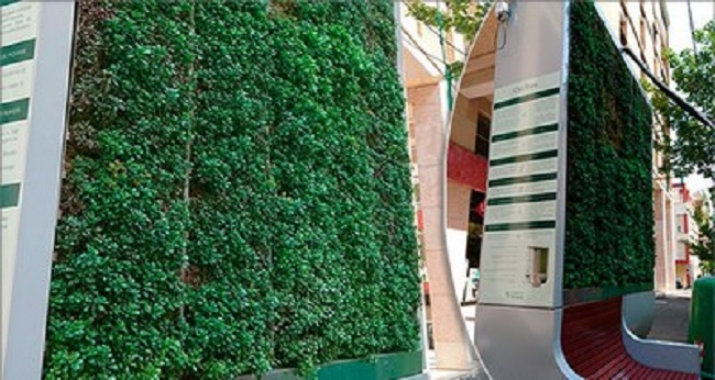 enea city life