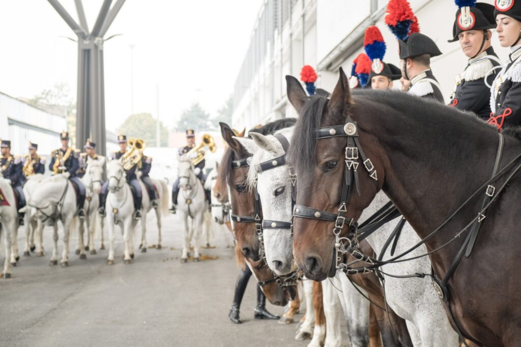 fieracavalli