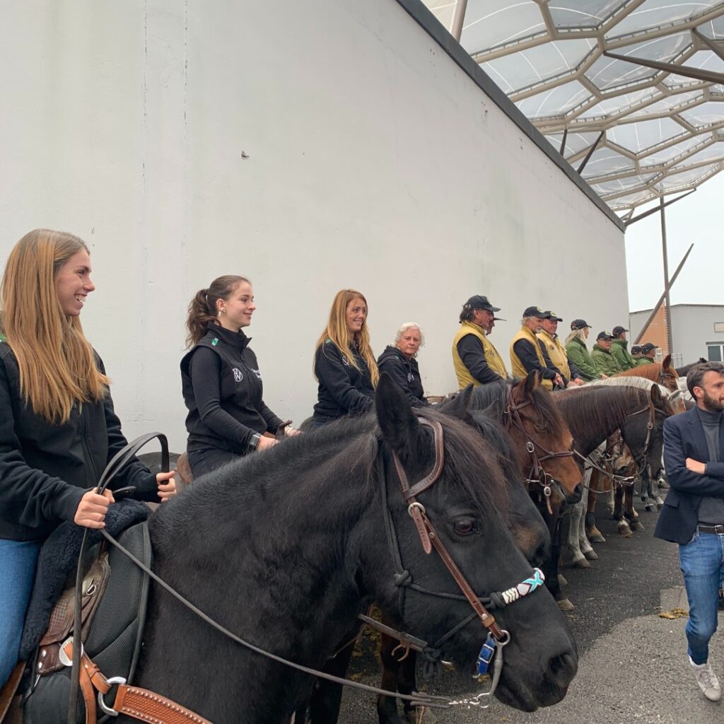 fieracavalli