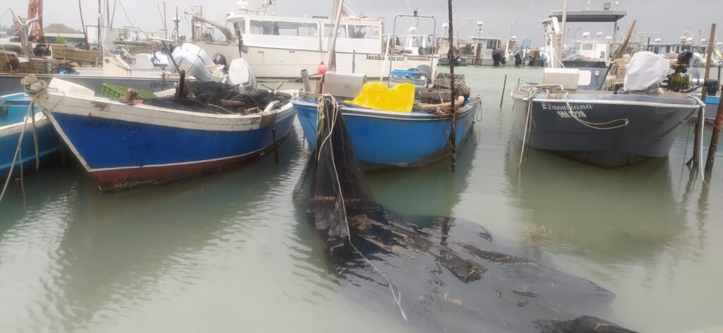 maltempo allagamenti gorino emilia romagna