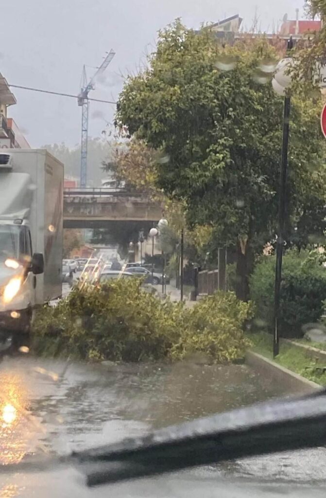 maltempo cosenza