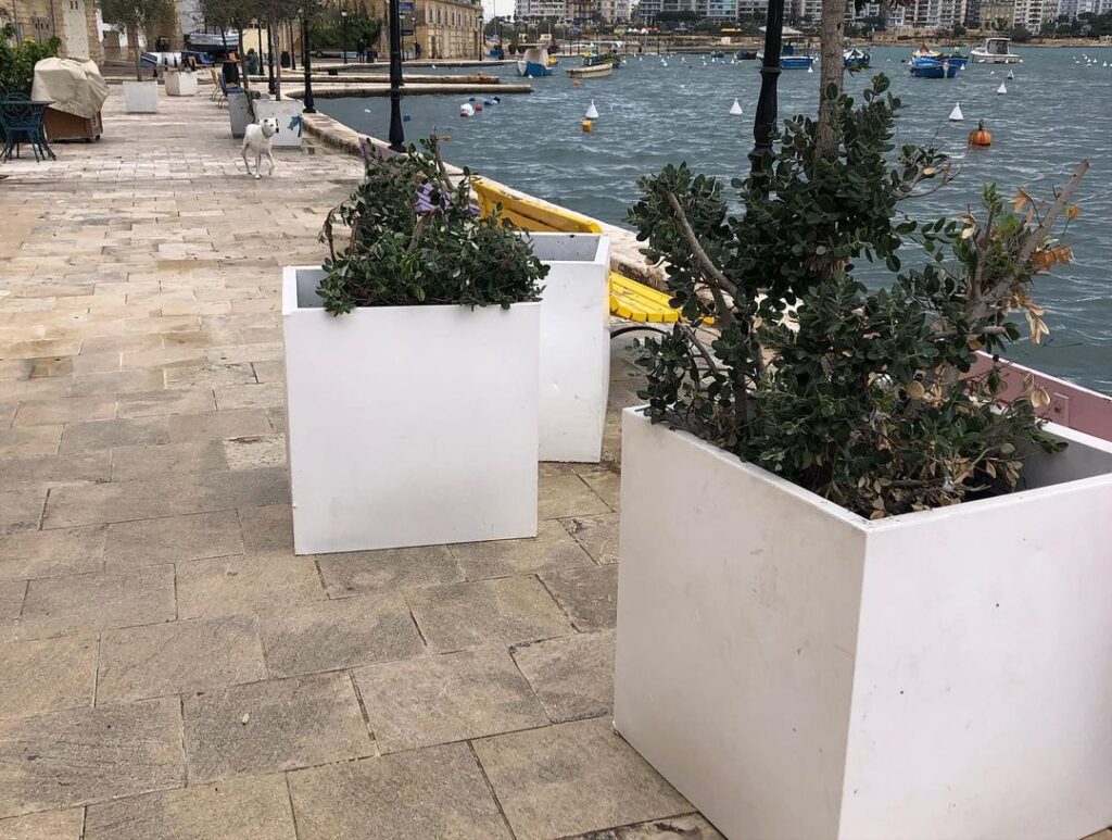 maltempo malta