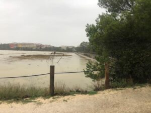 maltempo veneto ciclone denise