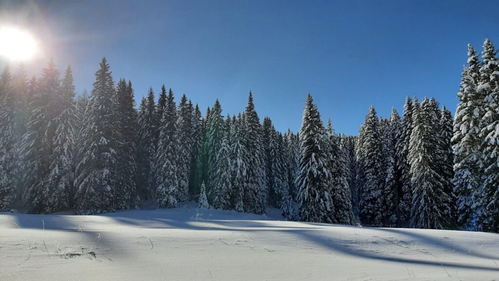 neve campolongo veneto