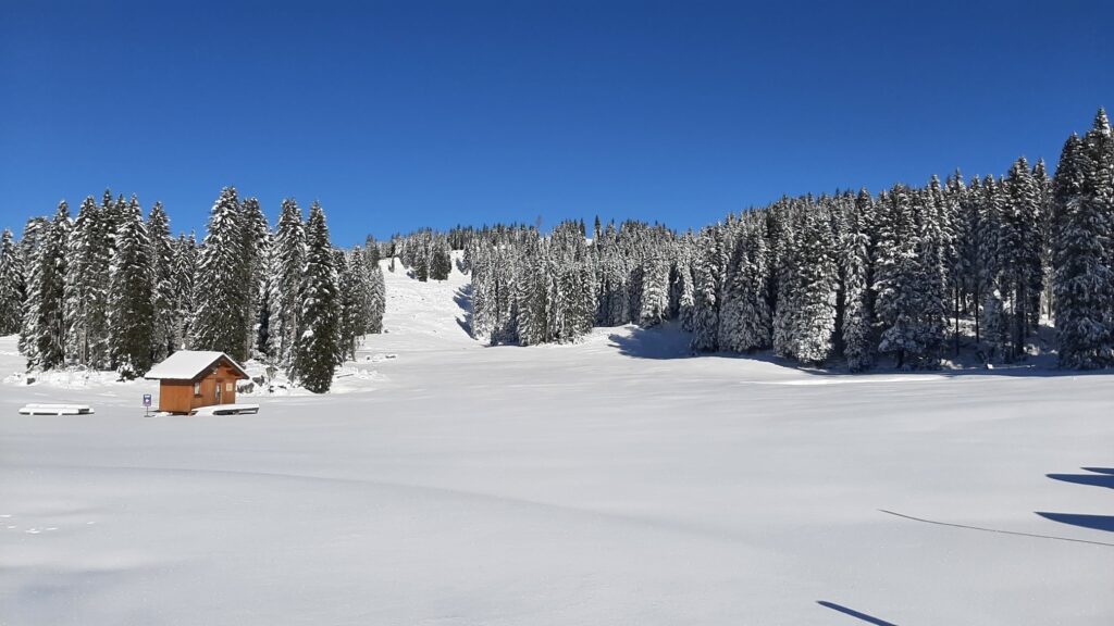 neve campolongo veneto