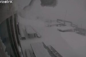 neve marmolada