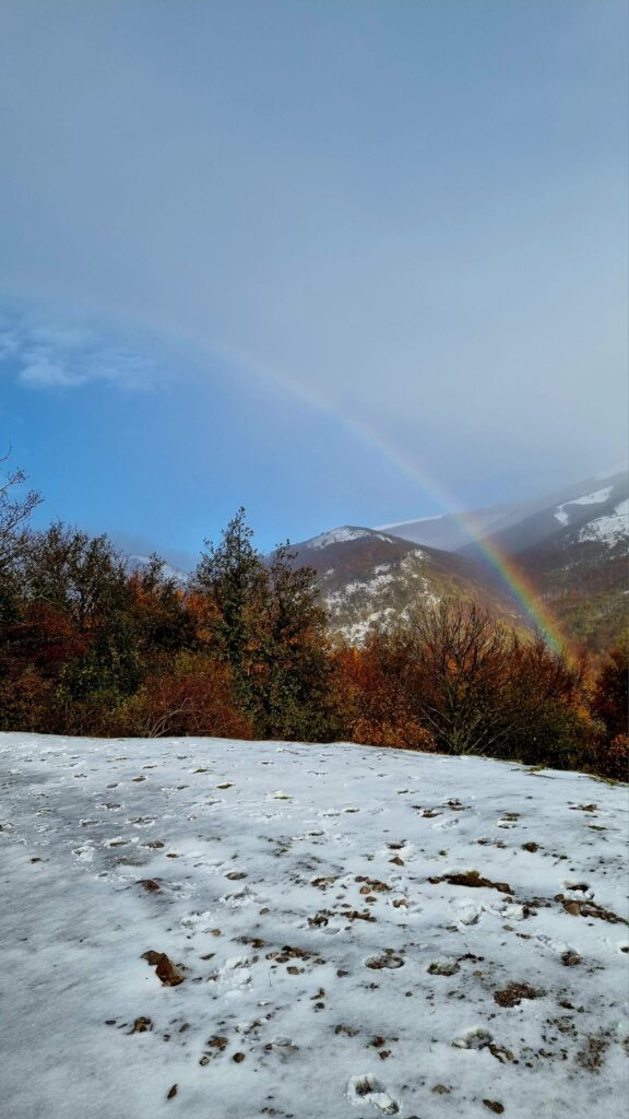 neve monte cervati campania